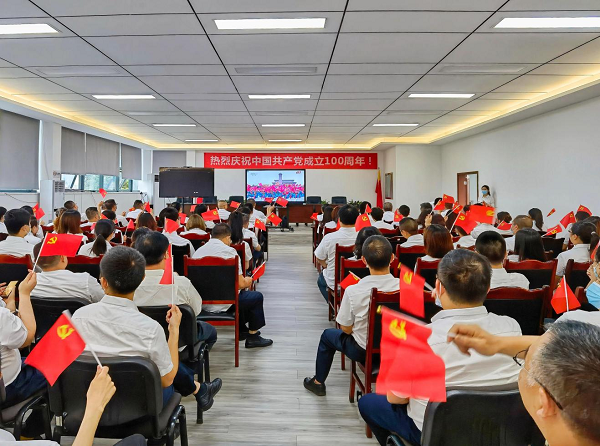 （组图）集团各级纪检监察机构党员干部职工观看庆祝中国共产党成立100周年大会直播