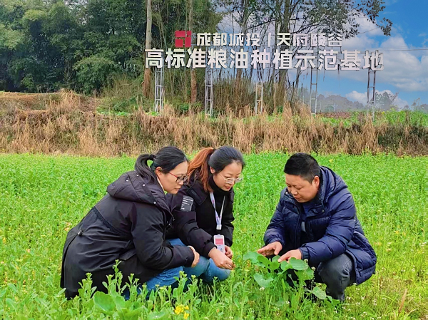 城乡公司：把监督扎进泥土里 护航春耕跑出加速度